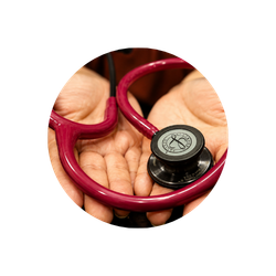 Consultas Veterinárias